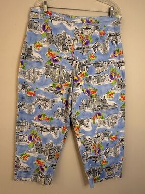 Briggs colorful boho floral city scene cropped pants SZ 18W